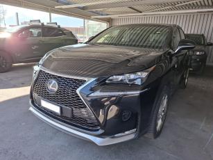 xFC1QprS6c.jpg